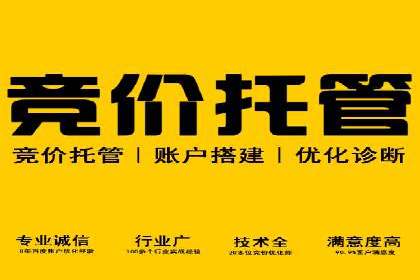 SEM推广竞价策略案例分析